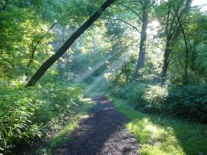 Quittie Creek Nature Park, Annville