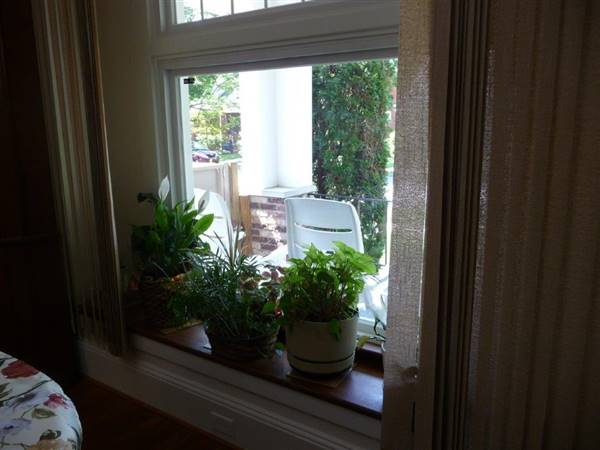 Location Image 5