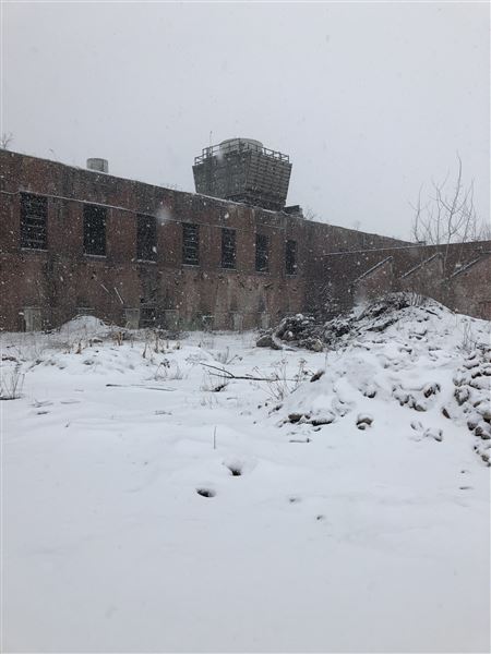Location Image 2