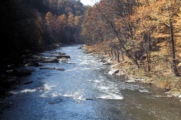 Location Image 3
