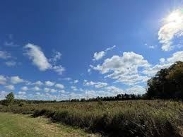 Location Image 3