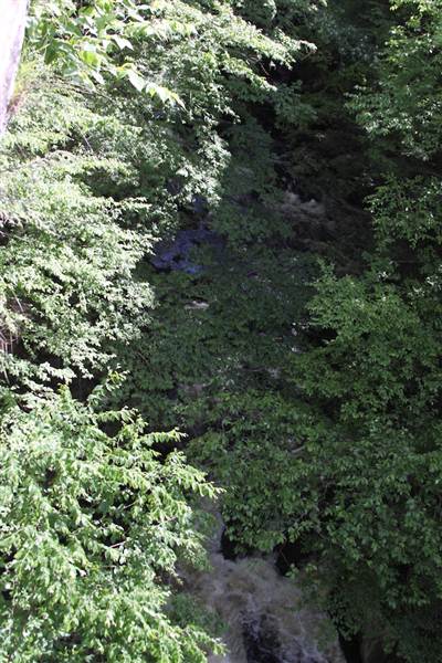Location Image 5