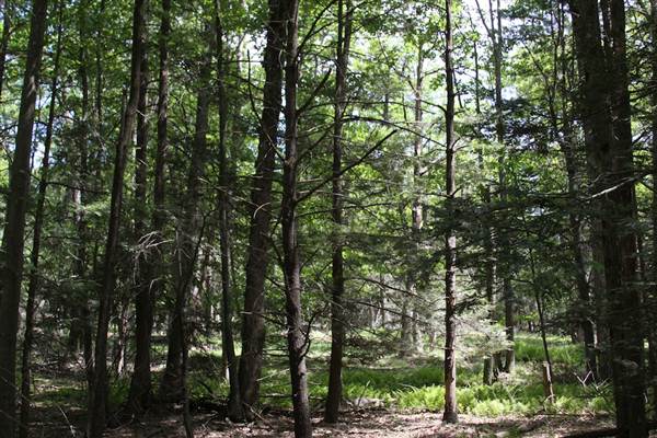 Location Image 2