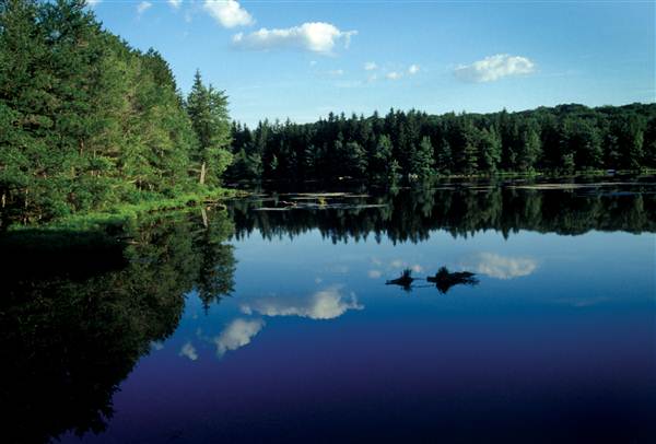Location Image 3