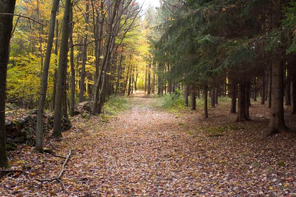 VARDEN CONSERVATION AREA