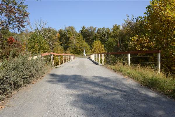 Alpine Ski Bridge