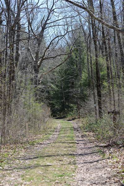 Location Image 2