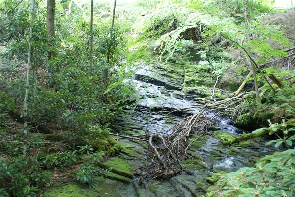 Location Image 4