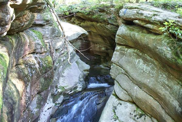 Seven Tubs Nature Area