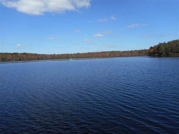 Location Image 2