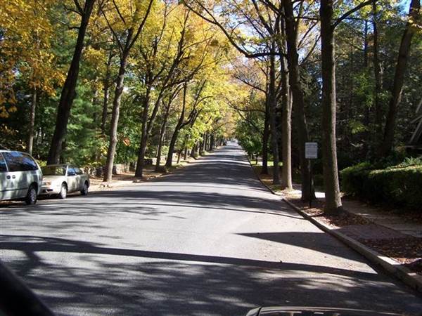 PALMERTON FALL FOLIAGE
