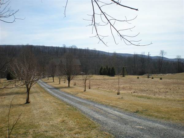 Location Image 5