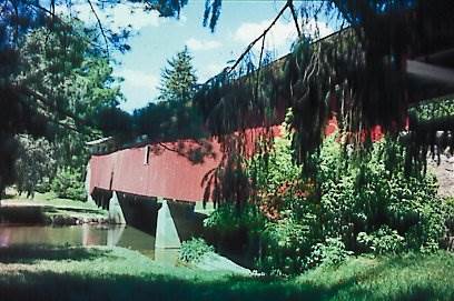 Location Image 3