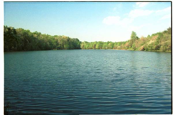 Location Image 5