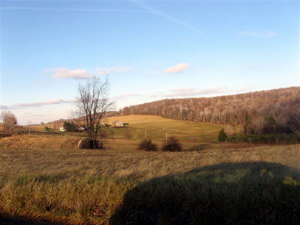 Location Image 5