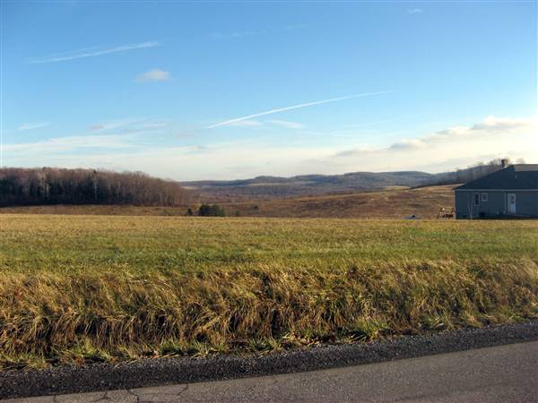 Location Image 3