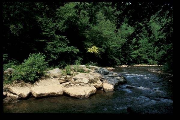 Location Image 5