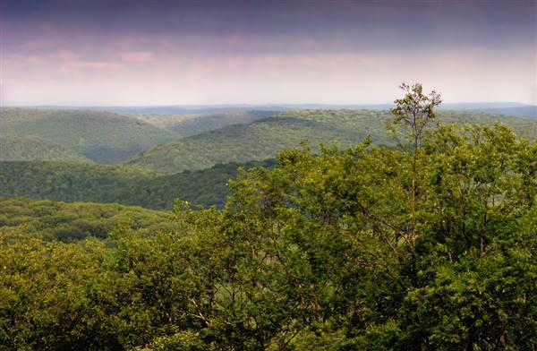 SUSQUEHANNOCK STATE FOREST