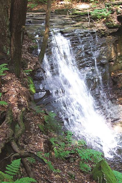 LEESBURG FALLS, MERCER COUNTY