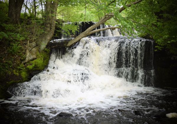 Location Image 2