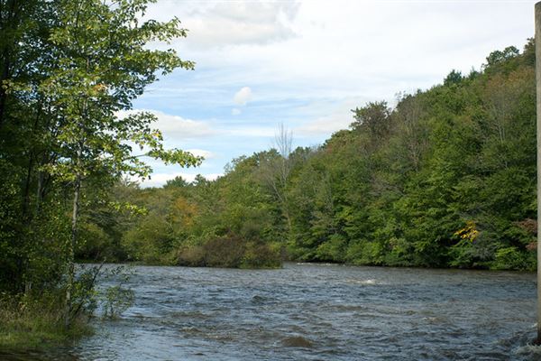 Location Image 4