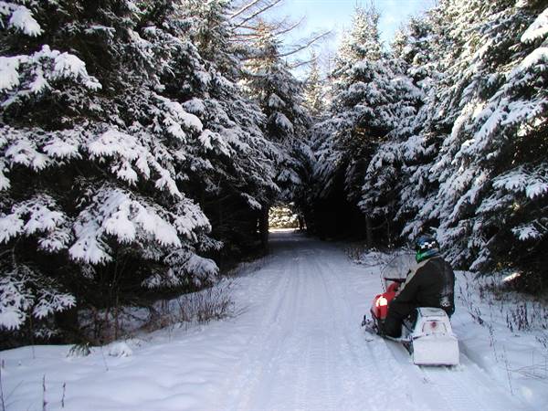Location Image 4