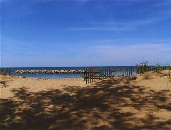 Location Image 2