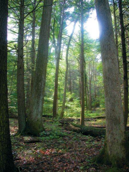 FOWLERS HOLLOW STATE PARK