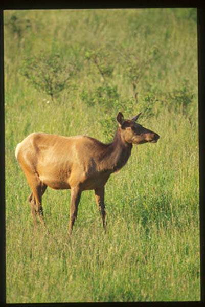 Location Image 2