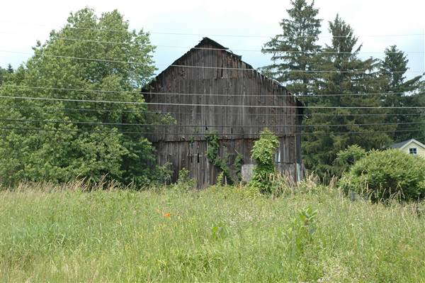 Weathered Barn