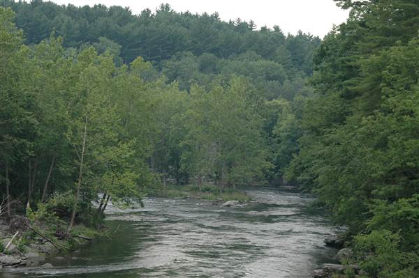 Location Image 5