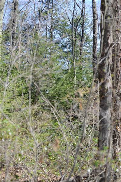 Location Image 3