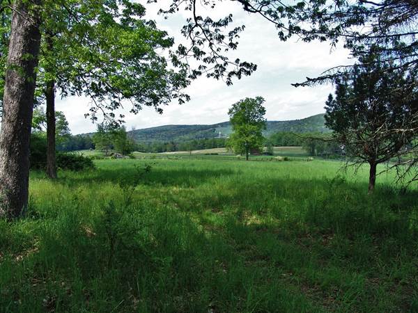 Hemlock Hill
