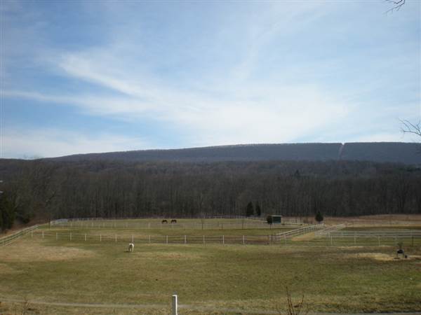 CHERRY VALLEY ROAD & SCENERY