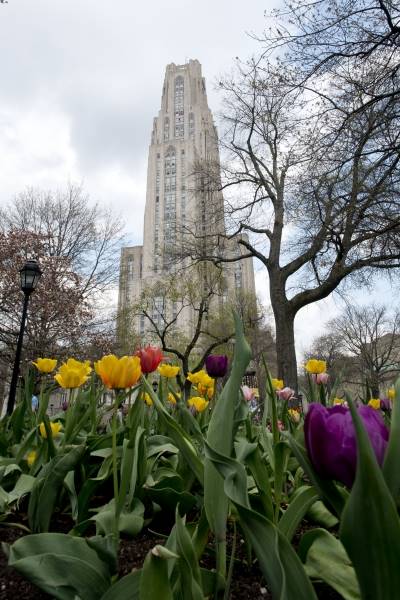 CATHEDRAL OF LEARNING