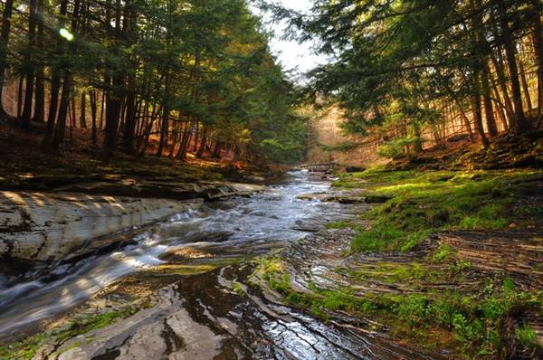 PINE CREEK, COLTON POINT STATE PARK
