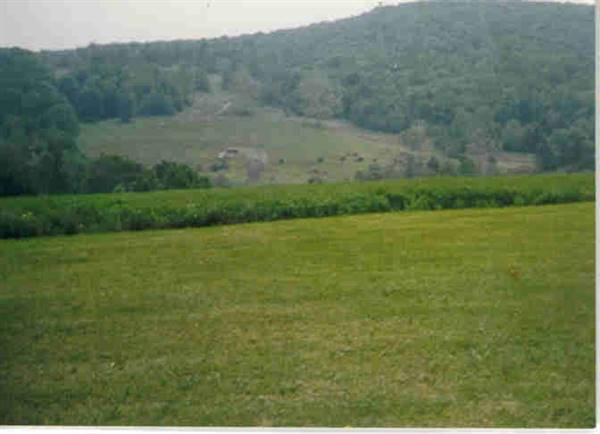 NICHOLSON FARM