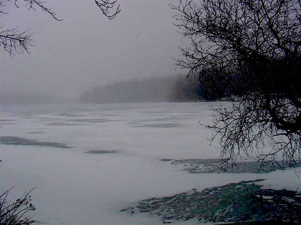 Location Image 3
