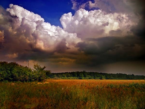 Delaware State Forest, Monroe County