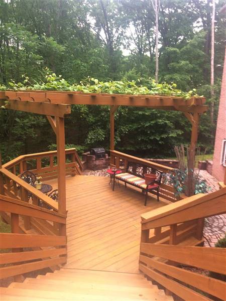 TRADITIONAL HOME, PATIO & GARDEN VIEWS
