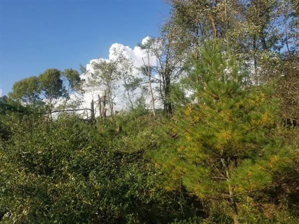 PINEY RAIL LINE, CLARION