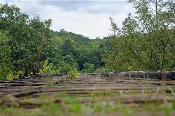 Location Image 3