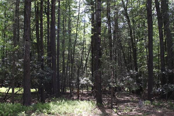 Location Image 4