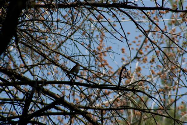 Location Image 5