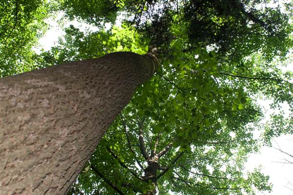 Location Image 2