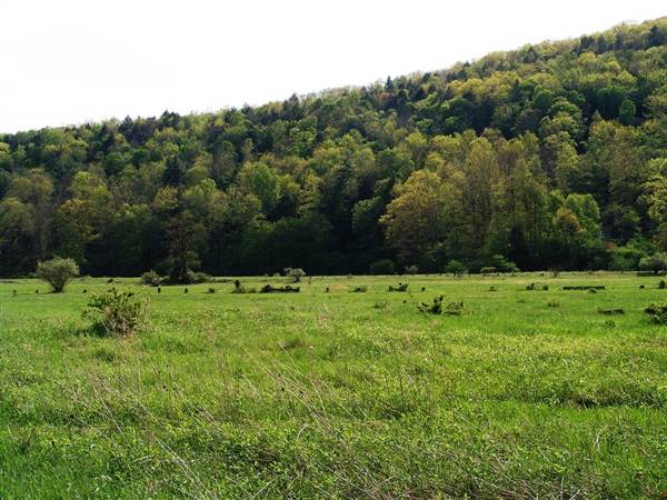 Location Image 3