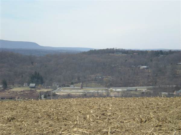Location Image 4