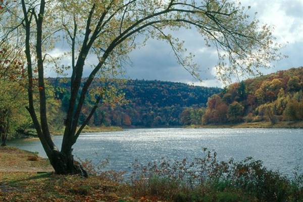 Location Image 5