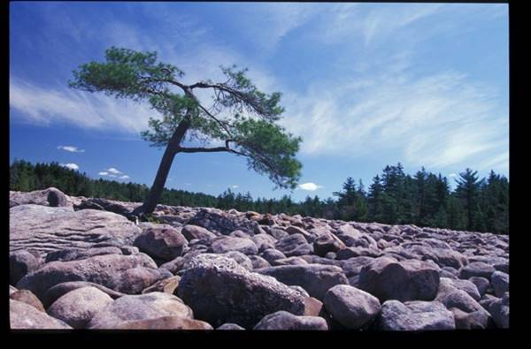 Location Image 3