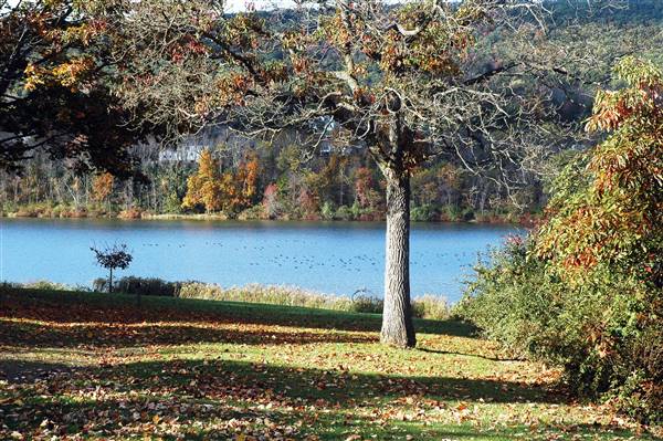 BRIAR CREEK LAKE & PARK